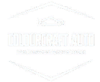 Colourcraft Auto
